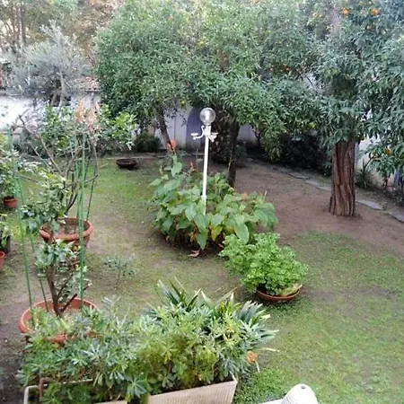 Apartmán Con Giardino Nel Cuore Di Viareggio